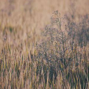 农民工公园交易视频大全
